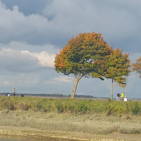 Escale A Wary Classe 4 Etoiles *