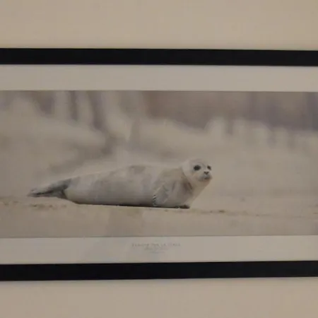 Escale A Wary Classe 4 Etoiles Apartment Saint-Valery-sur-Somme